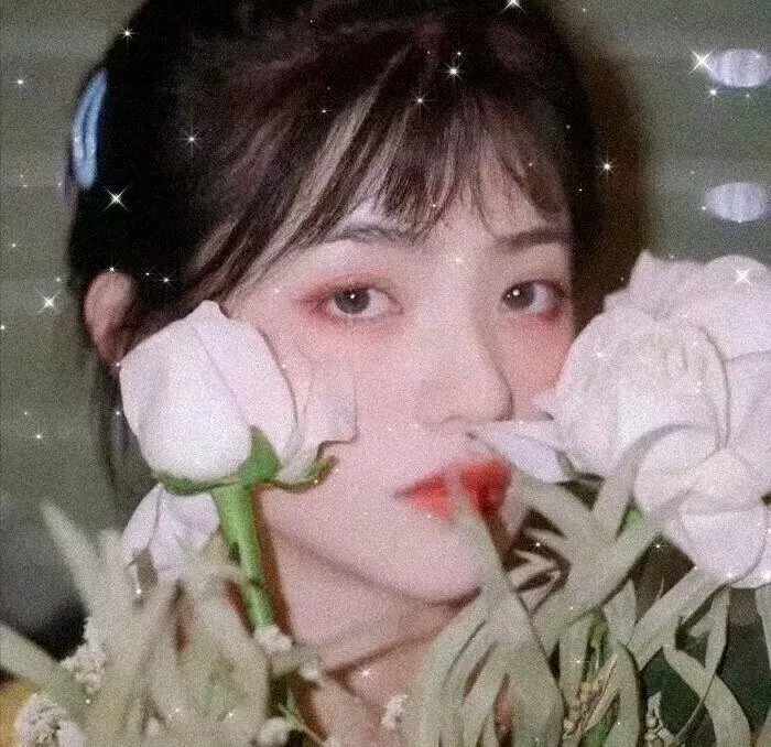 狐门秘事第一季